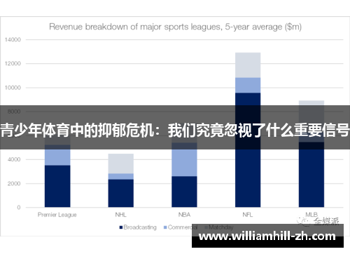 青少年体育中的抑郁危机：我们究竟忽视了什么重要信号