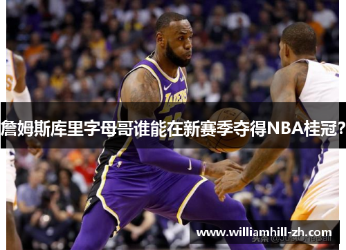 詹姆斯库里字母哥谁能在新赛季夺得NBA桂冠？